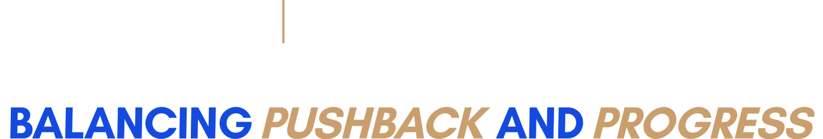 DSG | Yardstick Institute present Leadership in a polarized climate: balancing pushback and progress